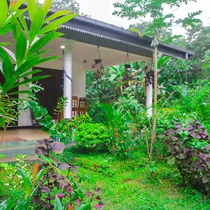 Mana Homestay